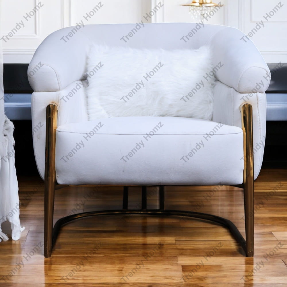 انترية 498